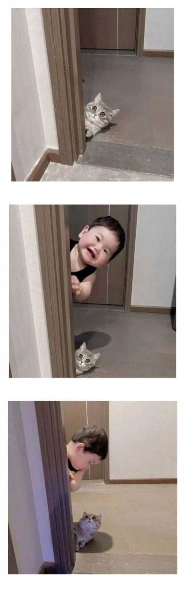 사람들이 아기를 사는 이유_1.jpg