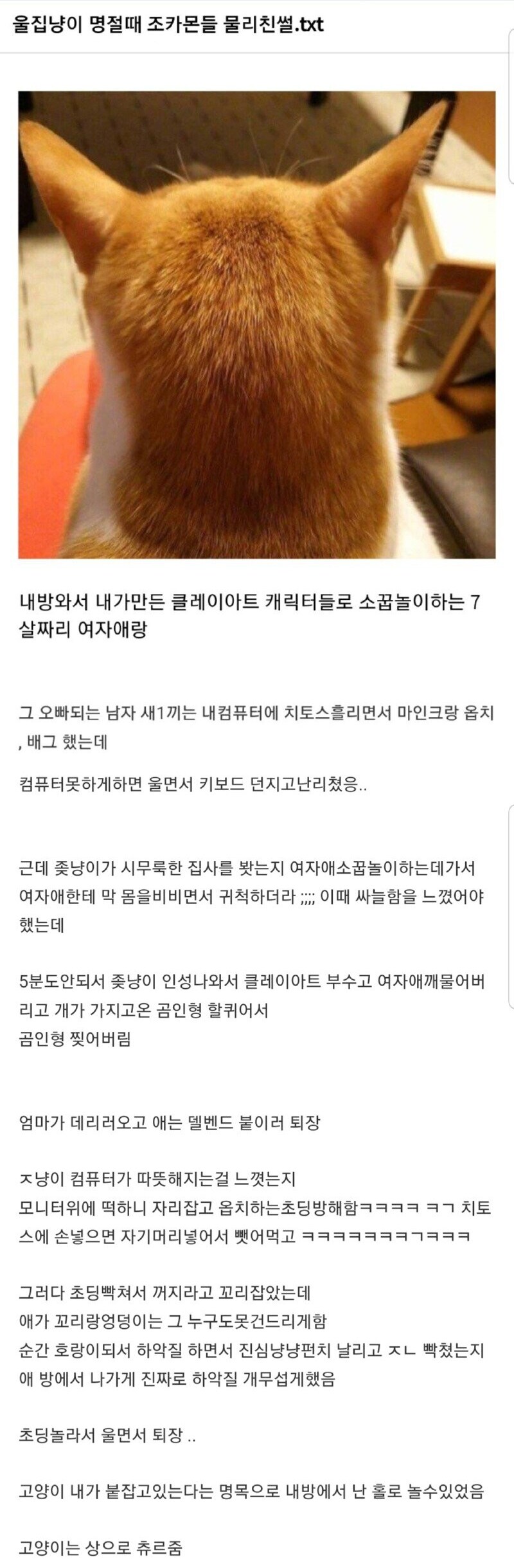 명절에 은혜 갚은 고양이_1.png