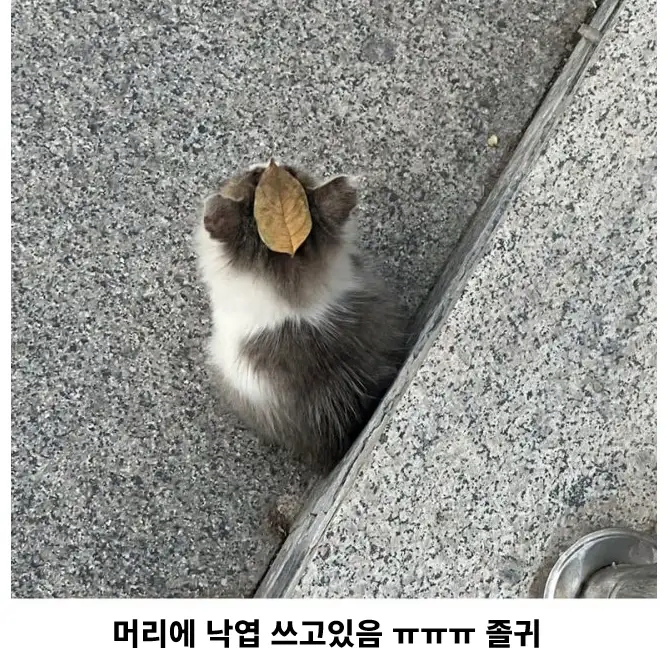 일본에서 빈번하다는 분양사기_2.webp