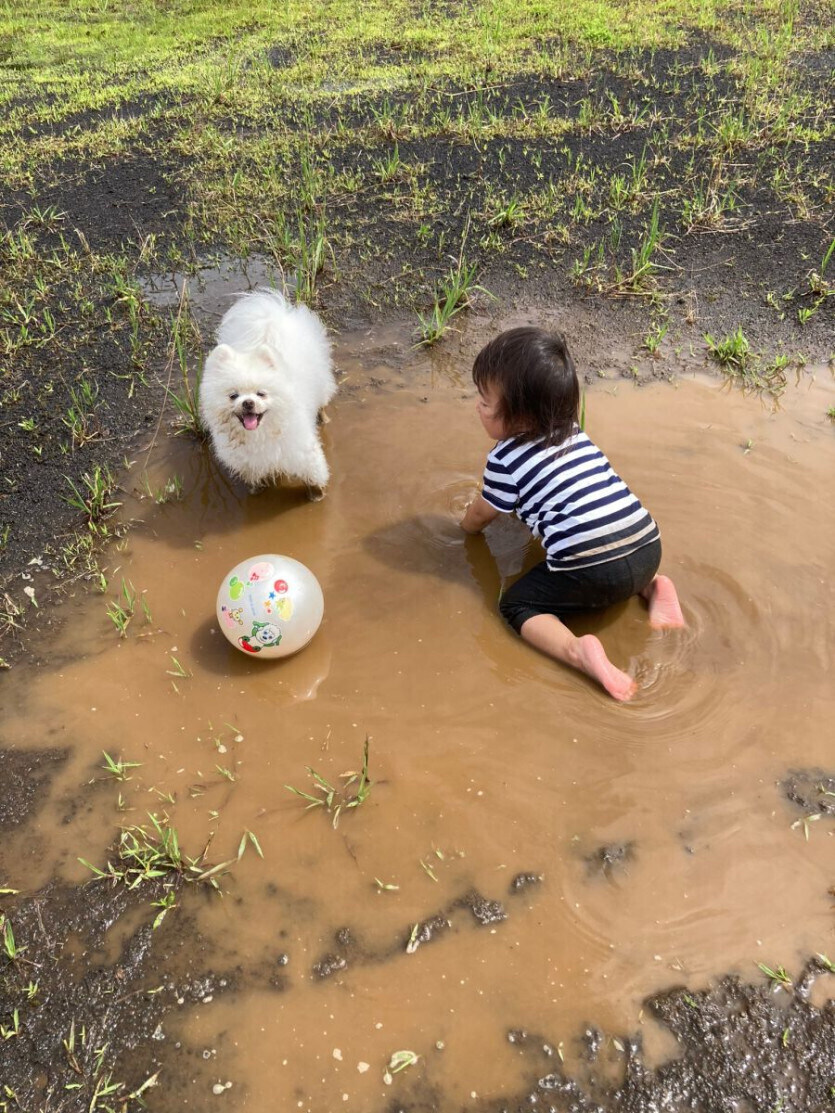 엄마 빼고 모두가 즐거운 상황.jpg_2.jpg