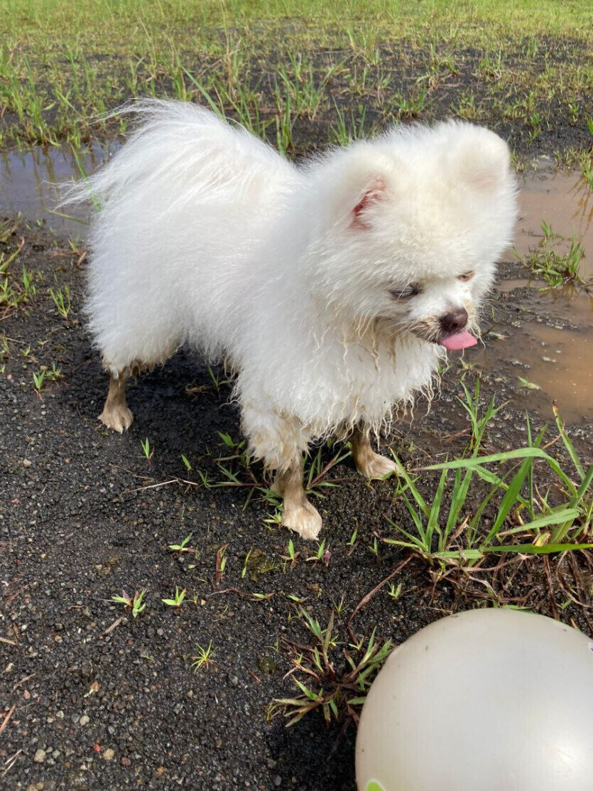 엄마 빼고 모두가 즐거운 상황.jpg_3.jpg