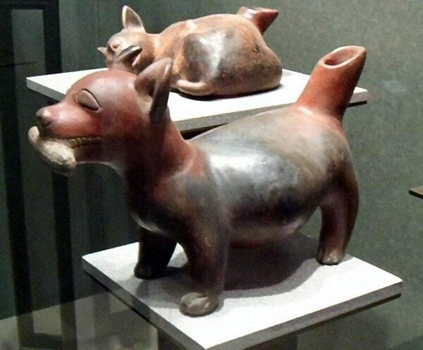 유물에서도 보이는 어떤 동물의 성깔_1.jpg