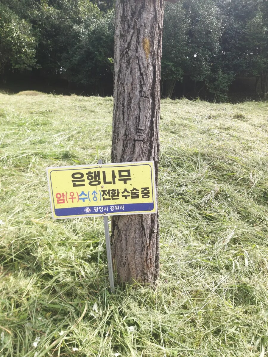 나랏돈으로 TS 해주는 현장_1.png