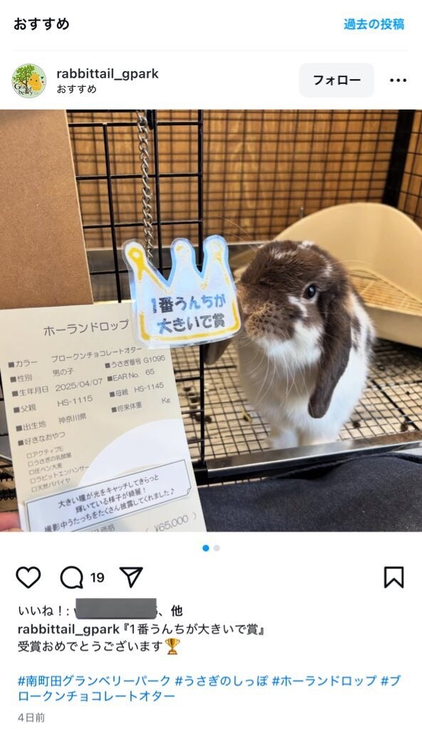 토끼에게 준 의외의 상.jpg_1.jpg