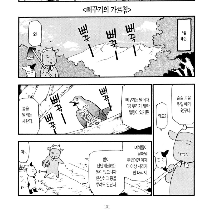 뻐꾸기의 가르침 특징_1.jpg