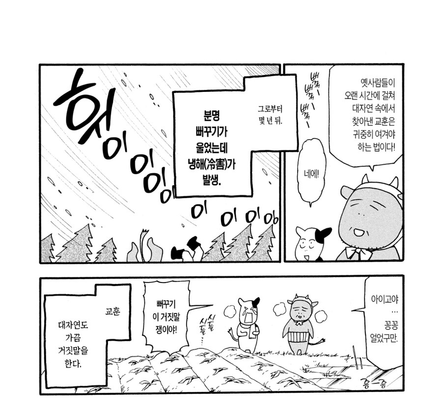 뻐꾸기의 가르침 특징_2.jpg