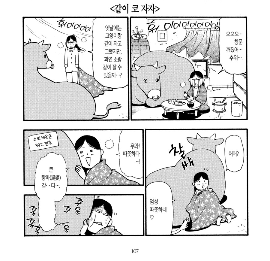 애완용으로 키우는 소의 장점과 단점_1.jpg