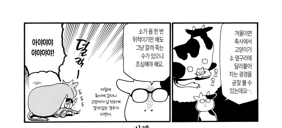 애완용으로 키우는 소의 장점과 단점_2.jpg