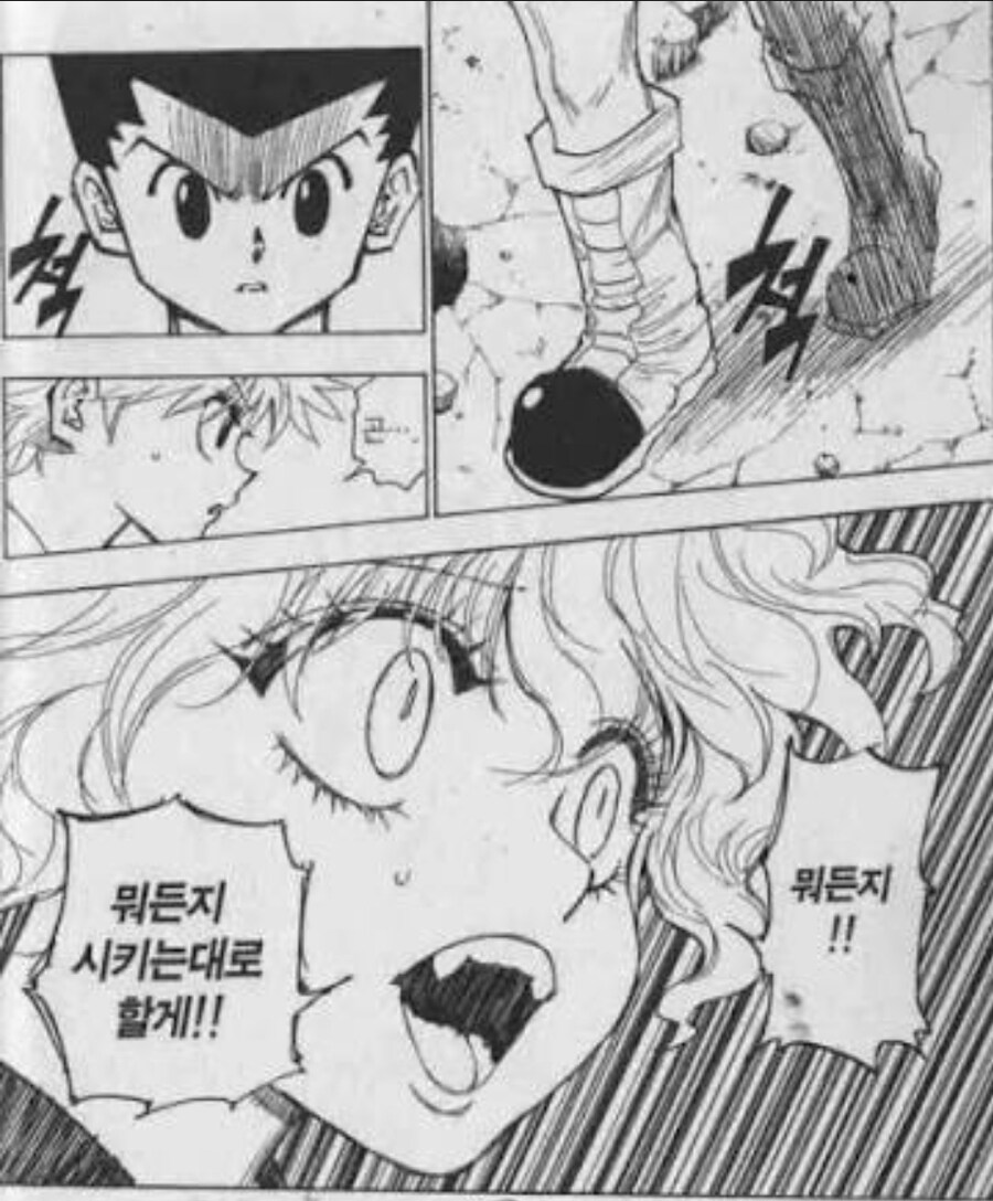 헌터x헌터. 뭐든지! 시키는대로 할께!!!_1.jpg