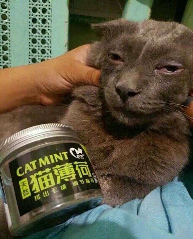 어으... 뿅간다.jpg_1.jpg