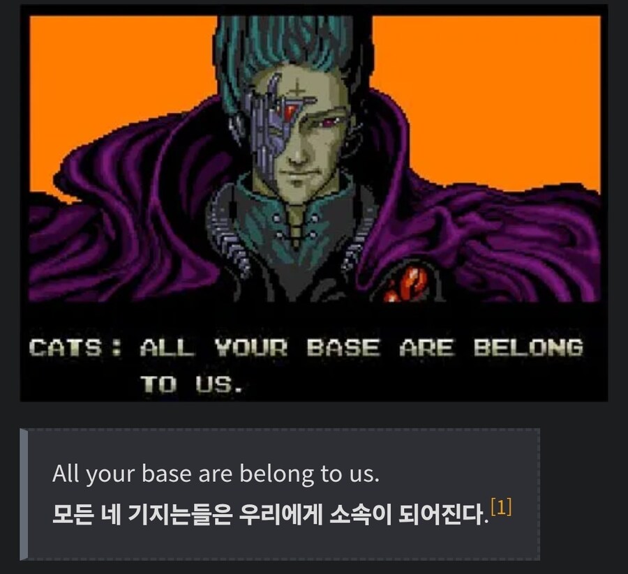 비영어권은 이해 못했던 20년전 서양 밈.jpg_1.jpg