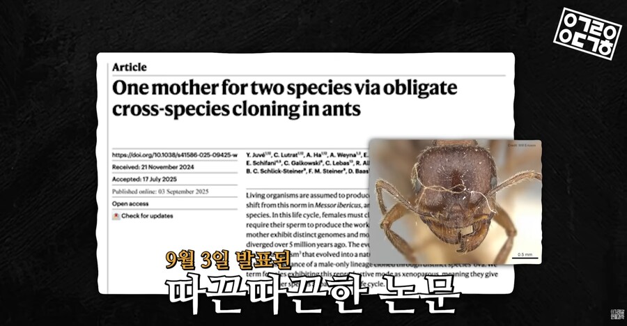 다른 종을 만들도록 진화하고있는 현대 개미 사회_3.png
