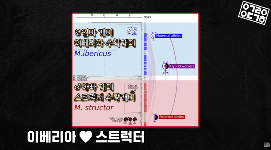 다른 종을 만들도록 진화하고있는 현대 개미 사회_13.png