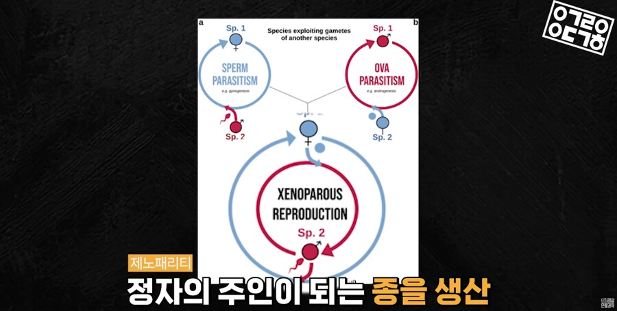 다른 종을 만들도록 진화하고있는 현대 개미 사회_27.png