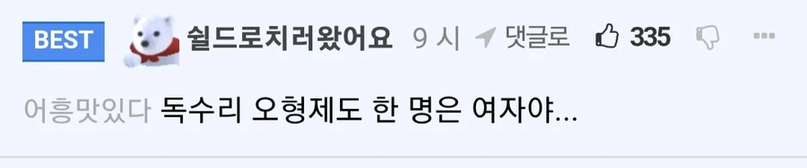 임신했는데 오열하는 사촌언니.jpg_2.webp