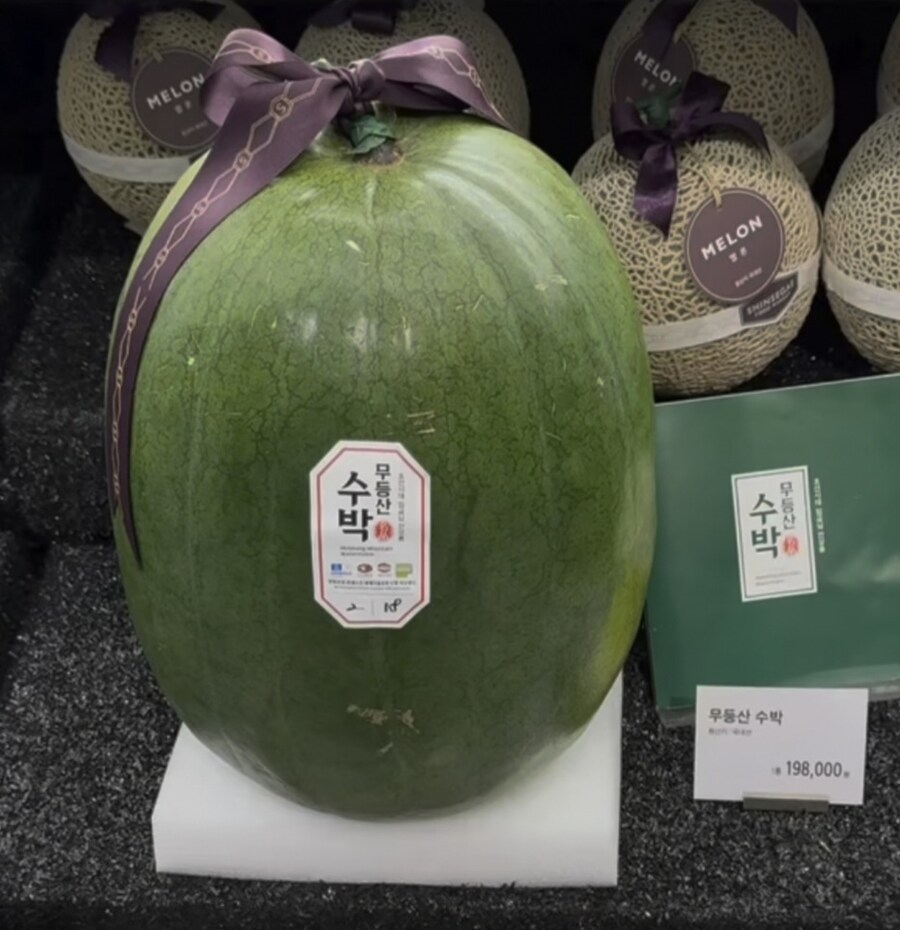 광주 특산물아라는데 광주사람들은 먹어본적도 없는거_1.jpg