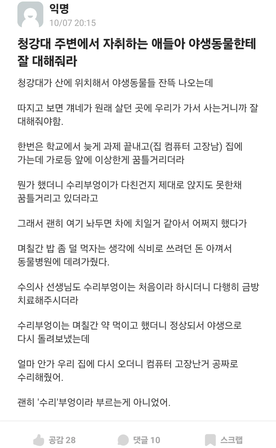 수리부엉이를 살려준 대학생_1.webp