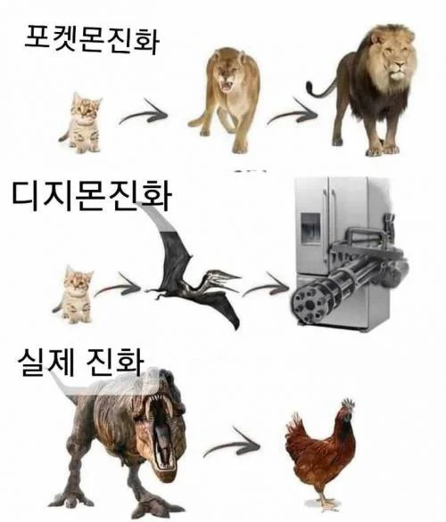 포켓몬 진화 vs 디지몬 진화_1.webp