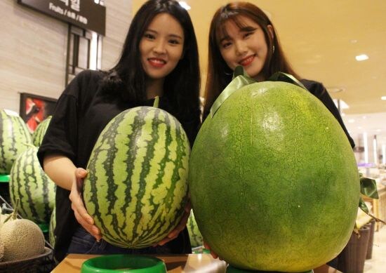 한통에 최소 10만원이나 나가는 수박.jpg_6.jpg