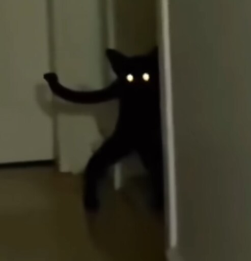 까만냥이들 특_2.png