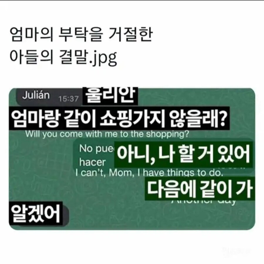 엄마의 부탁을 거절한 아들의 결말_1.jpg
