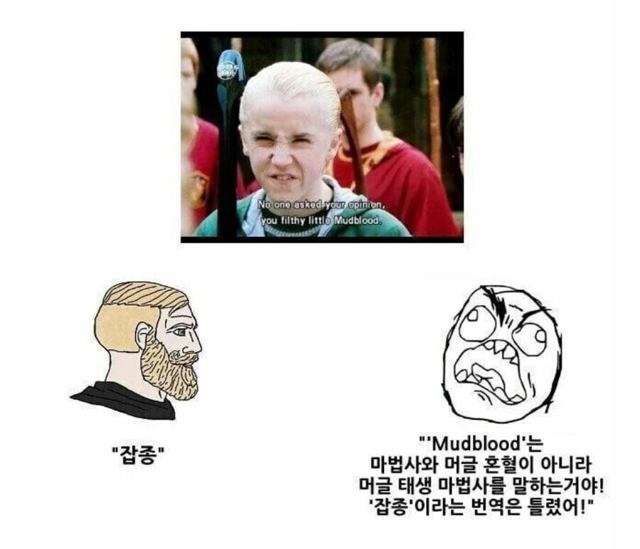 해리포터)오역중 유명한거 하나_1.jpg