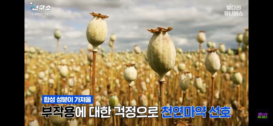 한국에서 마1약빠는 약쟁이들 특징_7.jpg