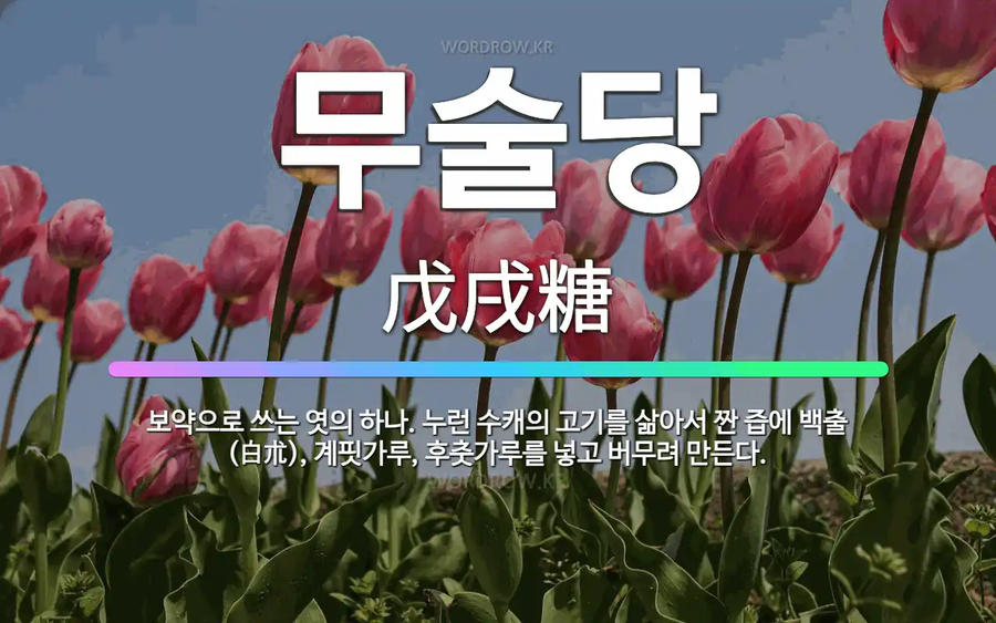 진짜 개고기 탕후루(?)_1.webp