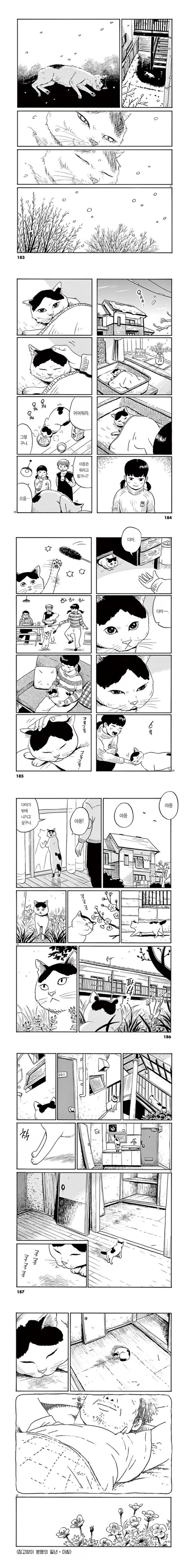 집고양이 분짱의 1년_2.png