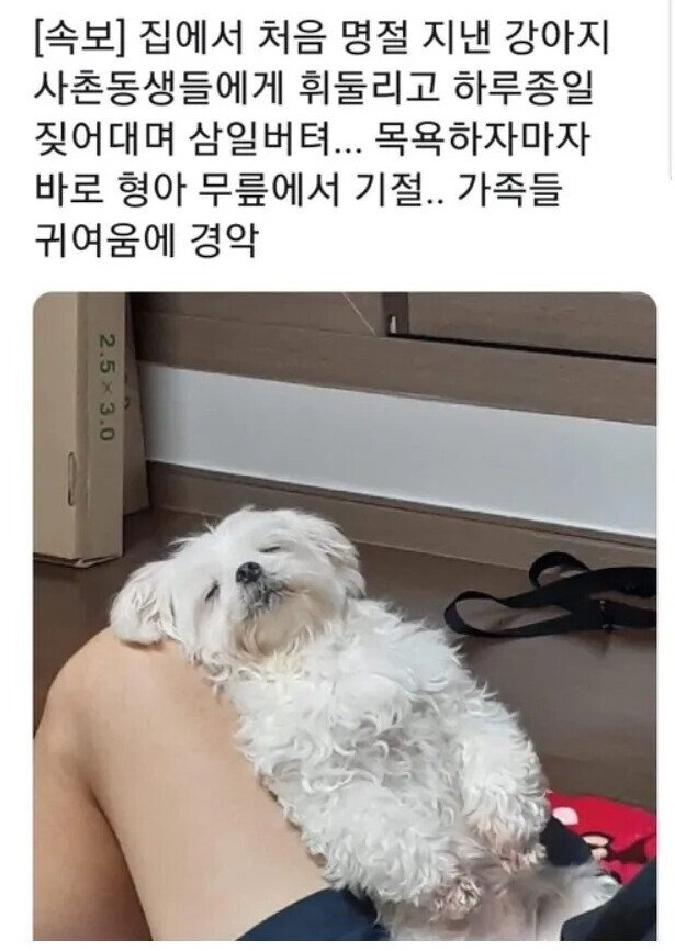 의외로 명절 연휴 후유증 크게 받는다는 것_1.jpg