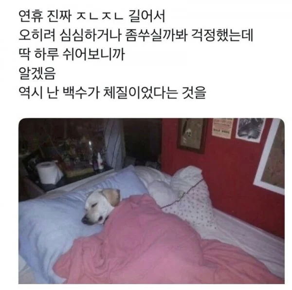 연휴에 쉬어보고 느낀점.jpg_1.webp
