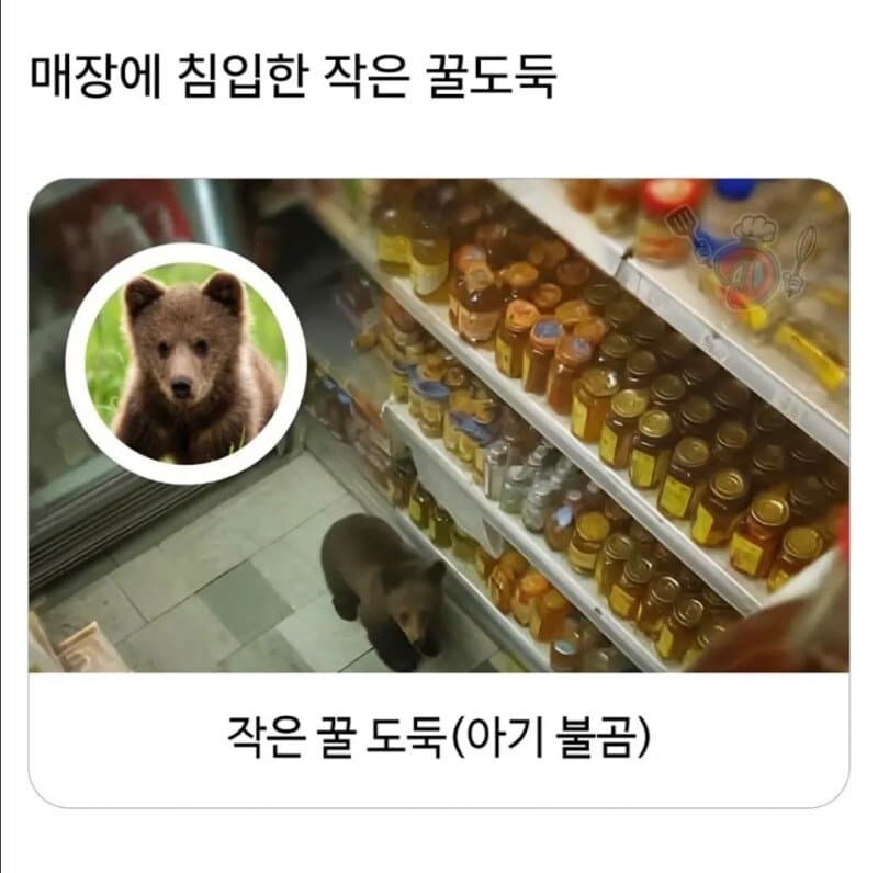 현행범으로 구속된 꿀도둑.jpg_1.jpg