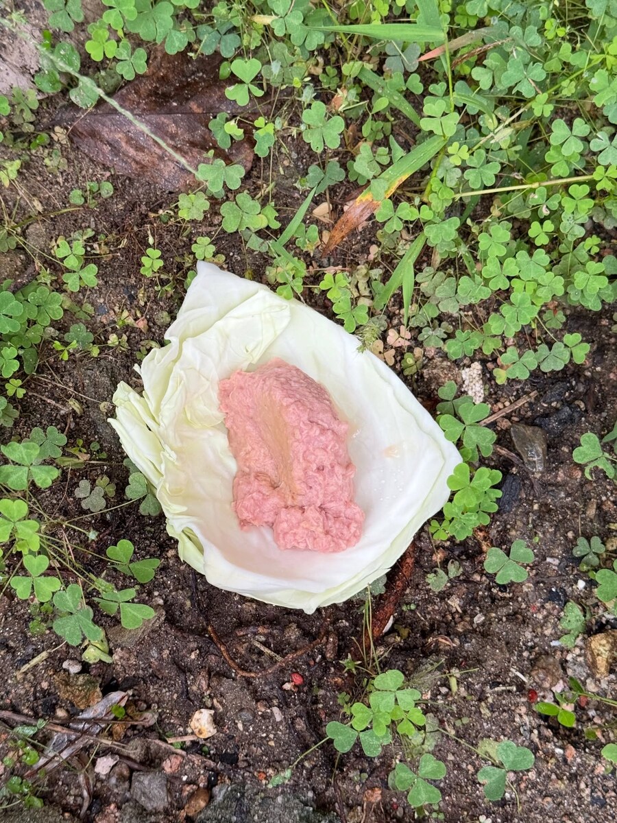 아이큐 140넘는 40대 여자가 한다는 짓.jpg_3.jpg