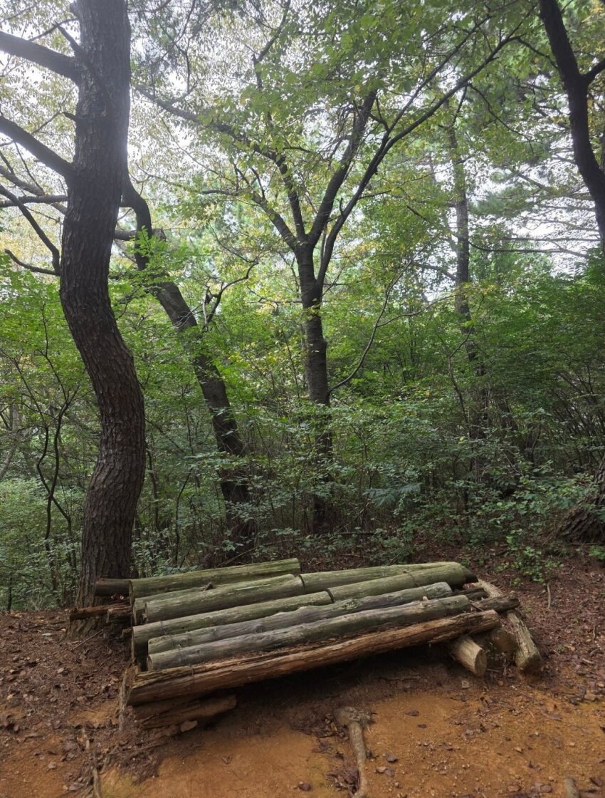 중딩 때 남자 똥구멍 쑤심.jpg_2.jpg