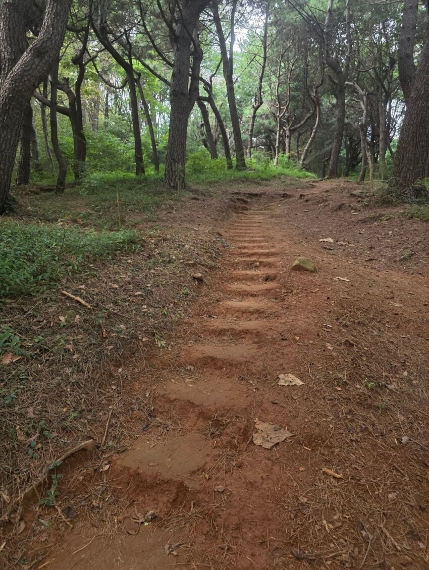 중딩 때 남자 똥구멍 쑤심.jpg_4.jpg