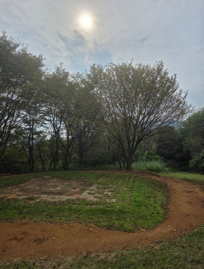 중딩 때 남자 똥구멍 쑤심.jpg_12.jpg