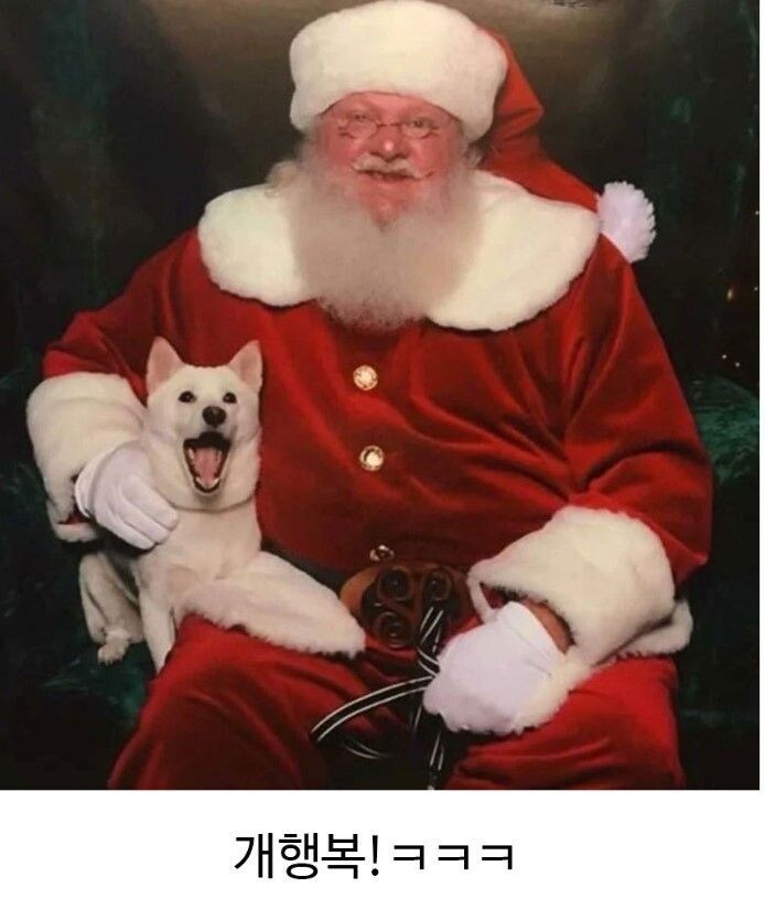 최애를 실제로 본 강아지_2.jpg