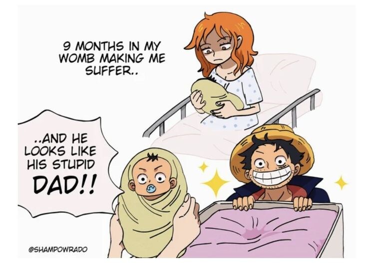 원피스에서 가장 안정적인 맛의 커플링_12.jpg