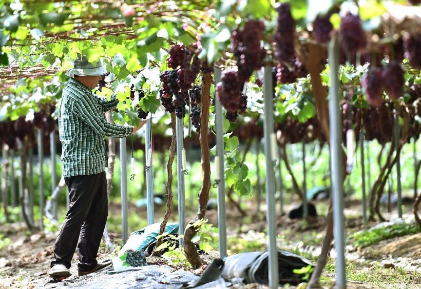 여자는 와인과 같다._1.jpg