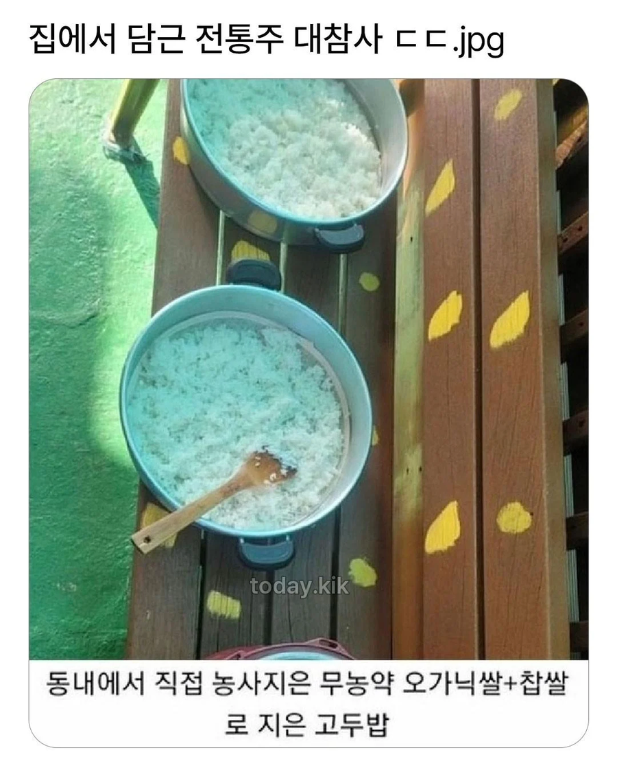 집에서 담근 전통주 대참사_1.webp