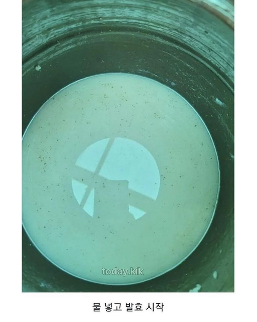 집에서 담근 전통주 대참사_2.webp