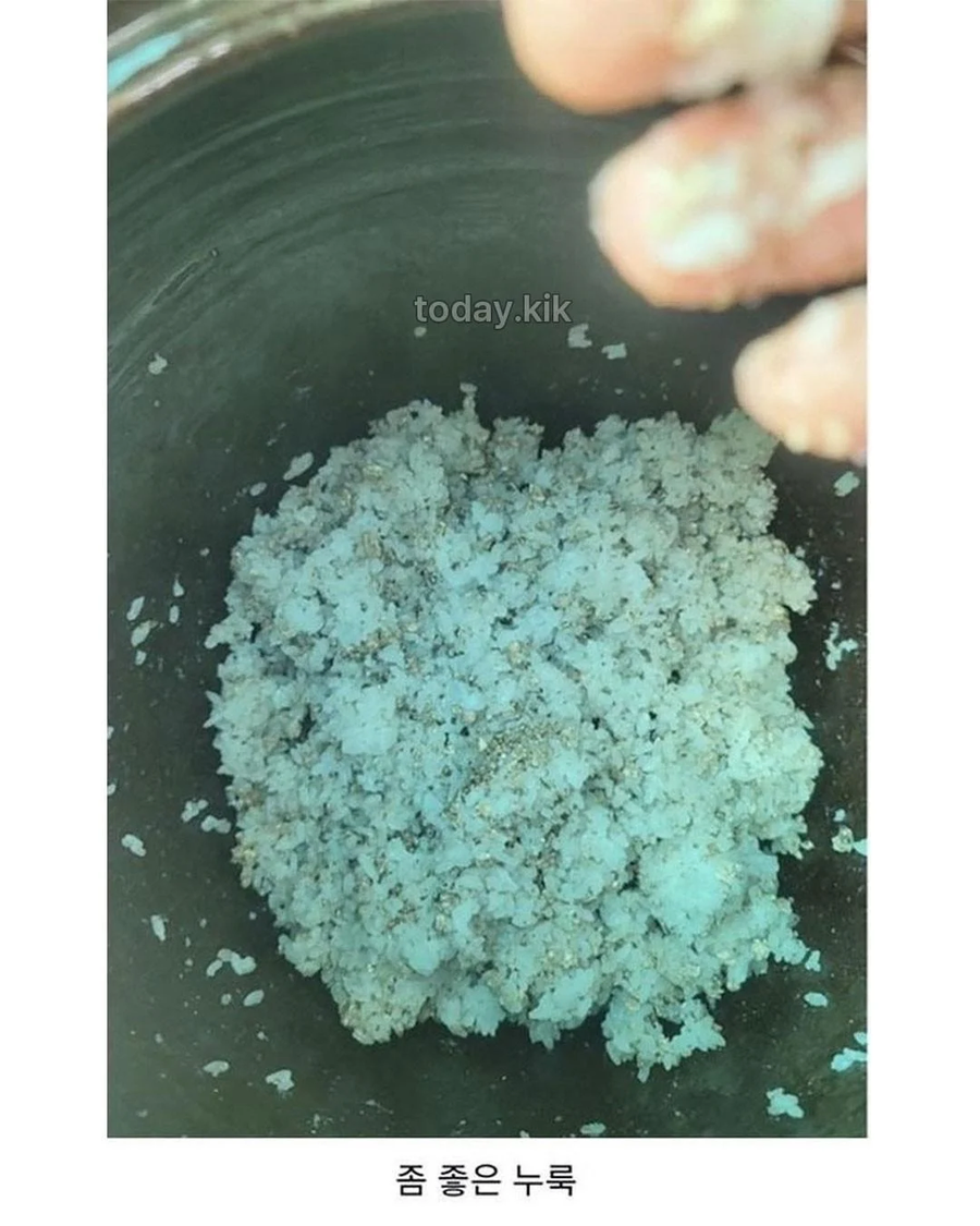 집에서 담근 전통주 대참사_3.webp