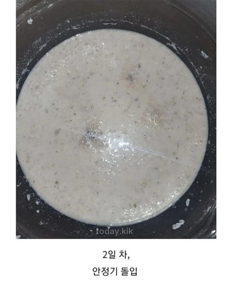 집에서 담근 전통주 대참사_4.webp