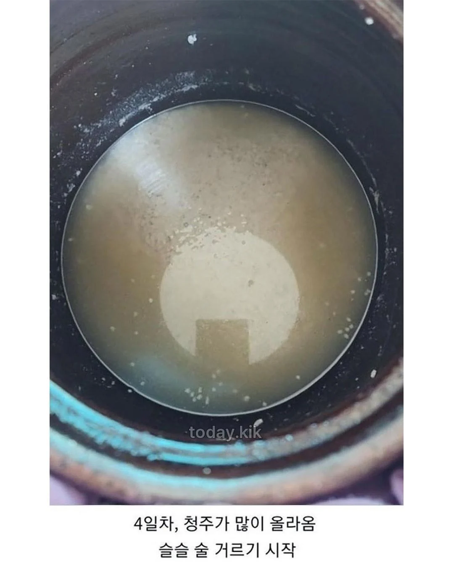 집에서 담근 전통주 대참사_6.webp