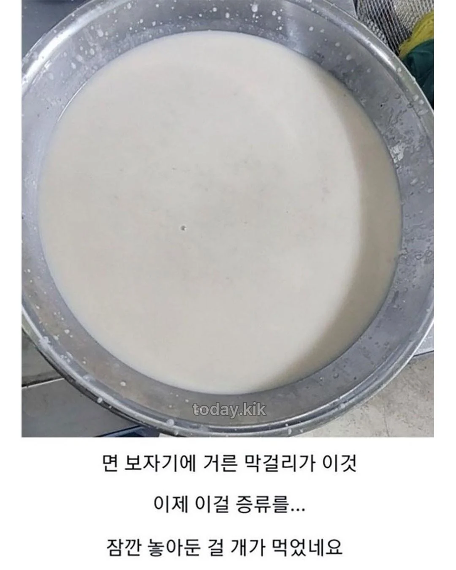 집에서 담근 전통주 대참사_8.webp