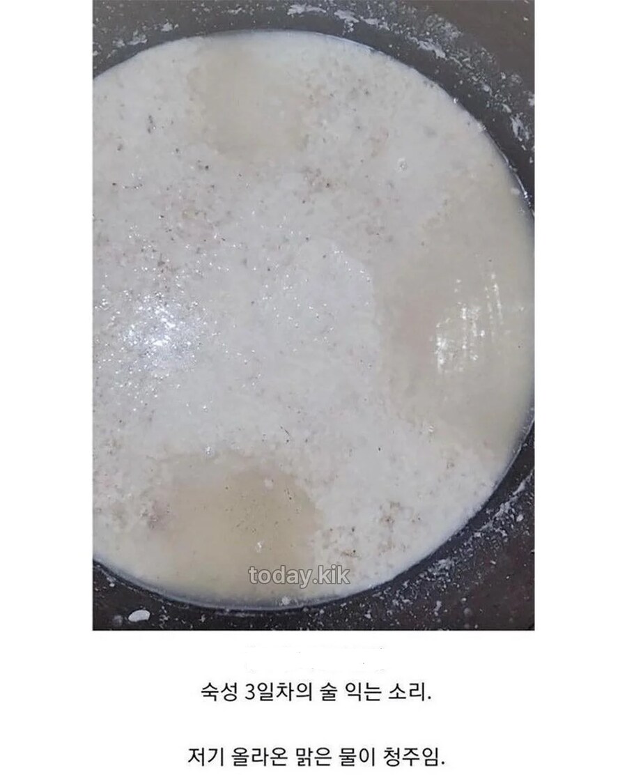 집에서 담근 전통주 대참사_5.png