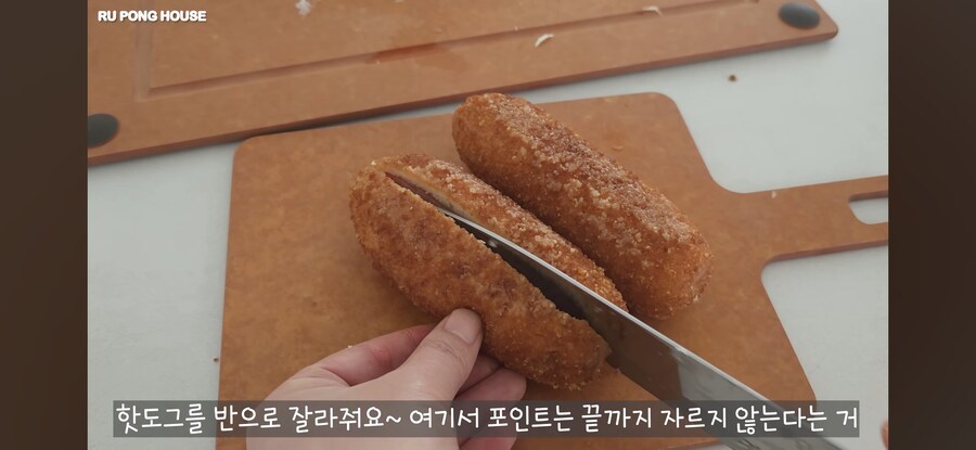 애견 채널 보다 발견한 천재적 레시피_1.jpg