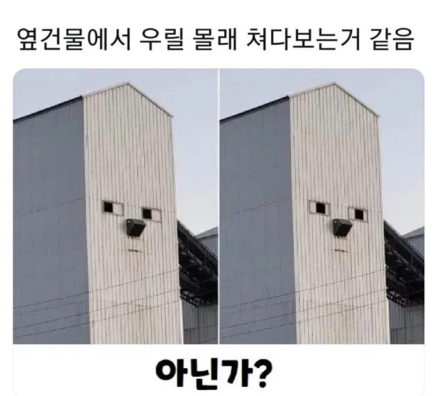 옆 건물이 자꾸 쳐다봄_1.jpg