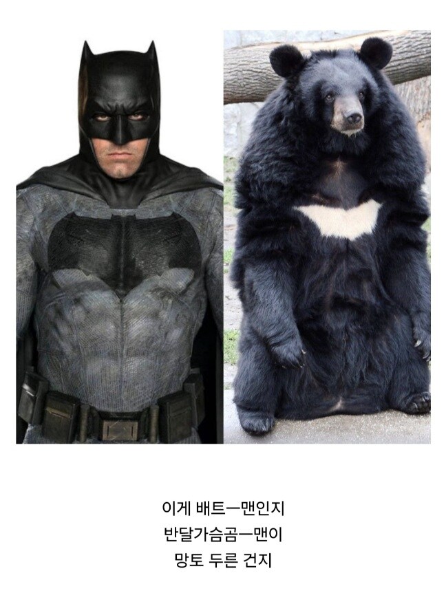 나도 배트맨은 육덕진 스타일을 더 선호하긴 하는데….jpg_1.jpg