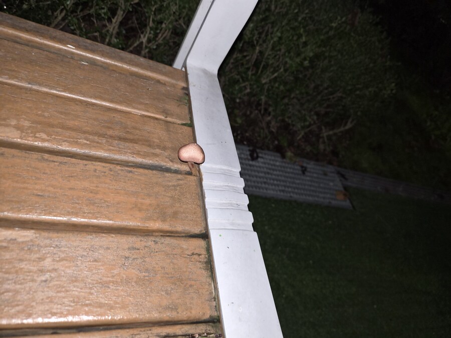 요며칠 비오더니_1.jpg